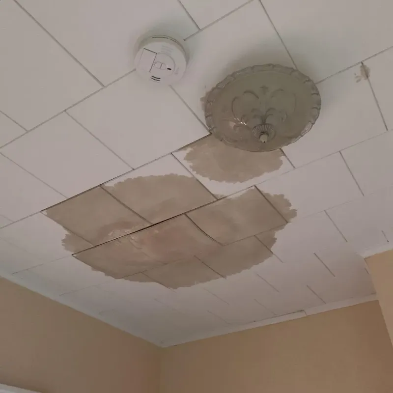 Ceiling Water Damage Repair in Harriman, TN