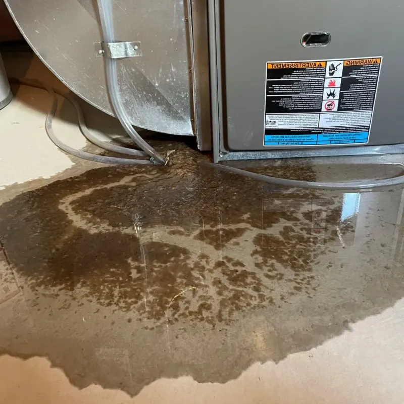 Pipe Burst and Leak Restoration in Harriman, TN