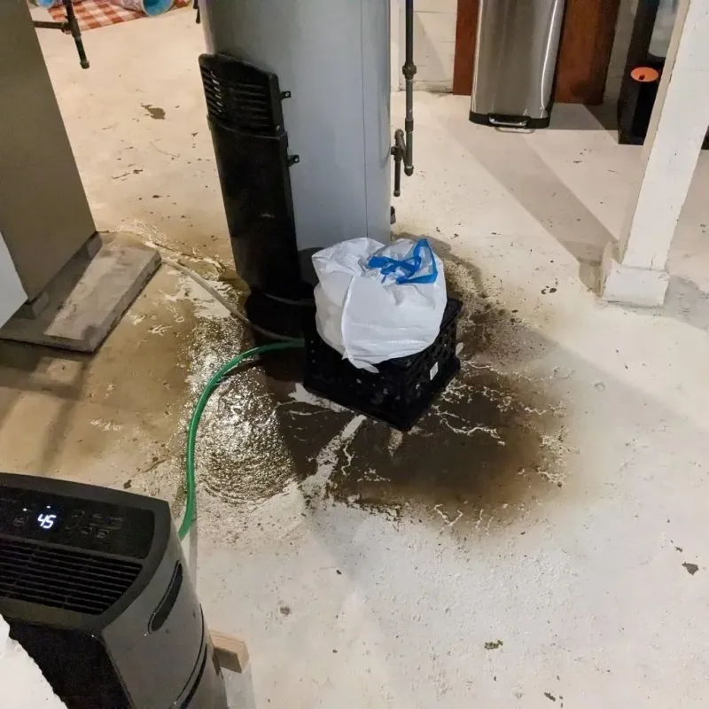 Sewage Backup Cleanup Service in Harriman, TN